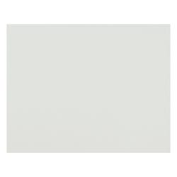 Pacon 6-Ply Railroad Board, 22 x 28 Inches, White, 100 Sheets