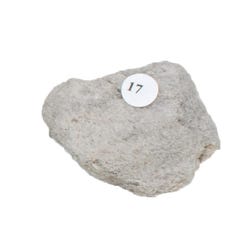 Delta Education Igneous Rock, Pumice, Pack of 8