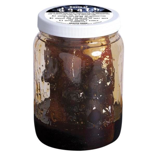 Image for Cause of Death - Secondhand Smoke Display - 5 in. x 7 in. from School Specialty