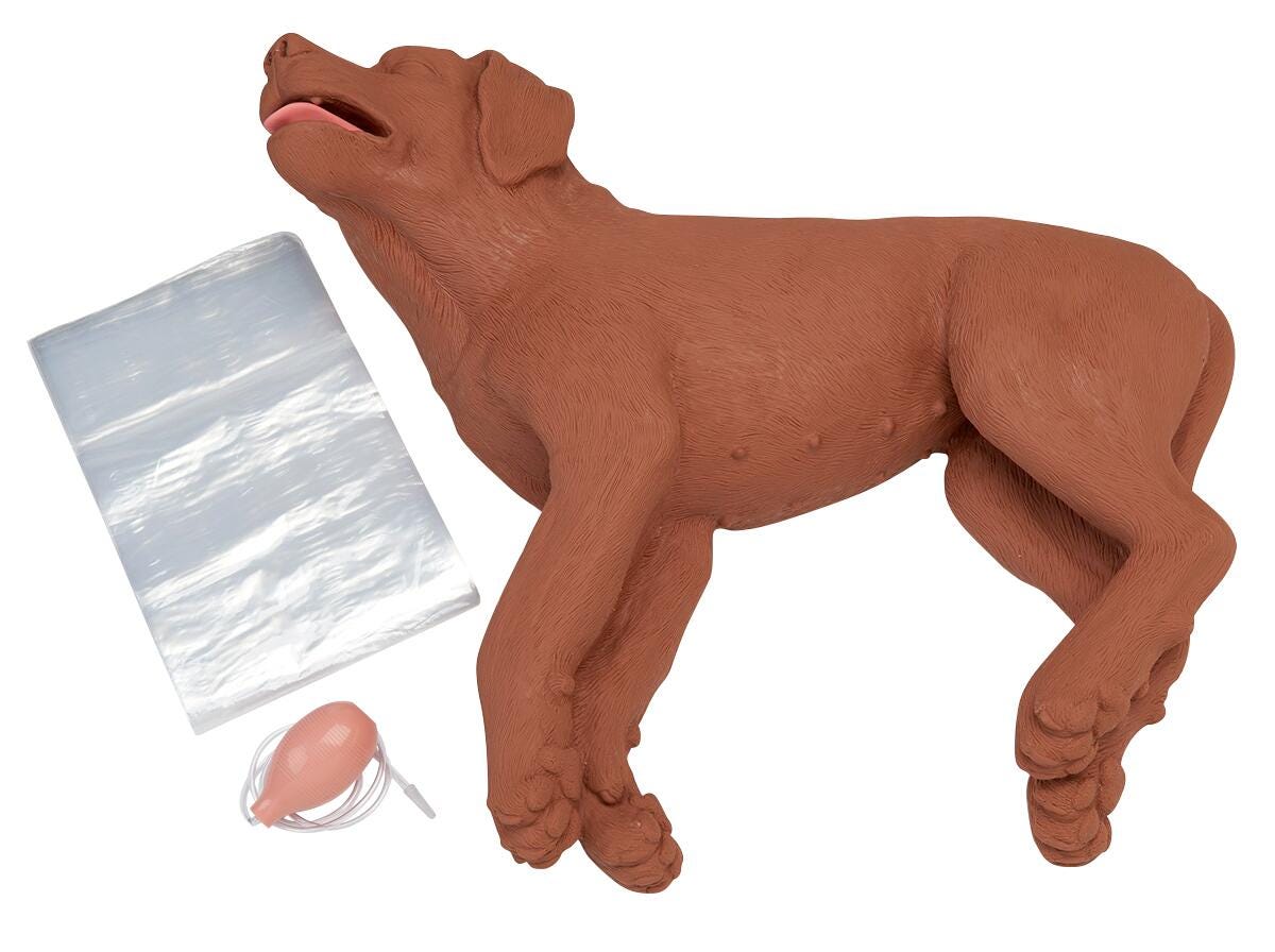 Casper the CPR Dog
