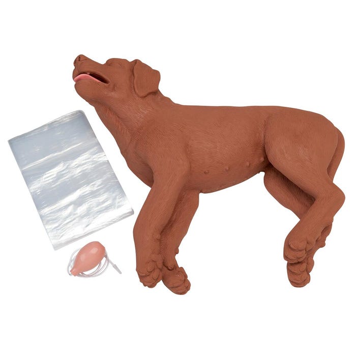 Casper the CPR Dog