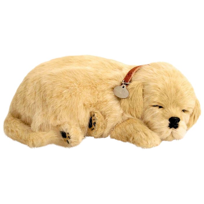 Perfect Petzzz Golden Retriever