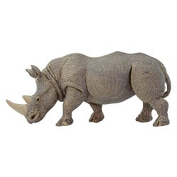 ANGLEIMAGES_FULLIMAGE