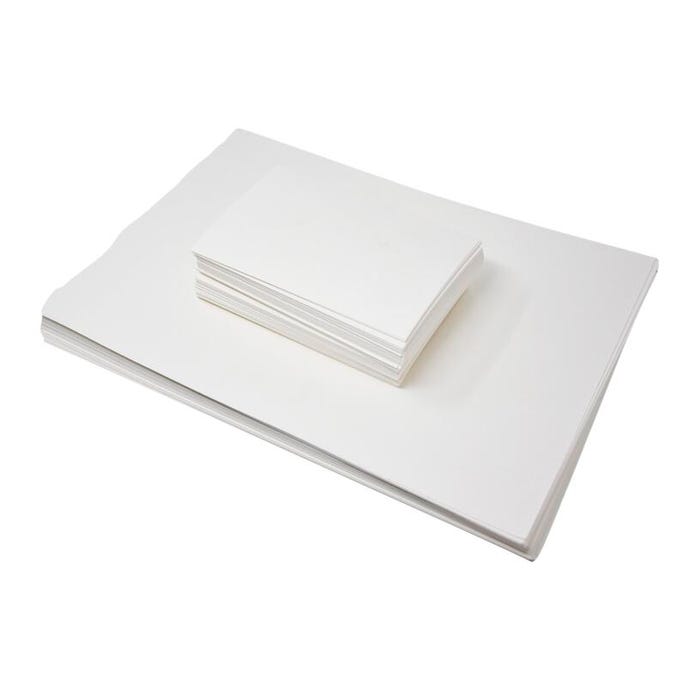 DeltaBio Plant Press Index Card, 5 x 8 Inches, Pack of 100
