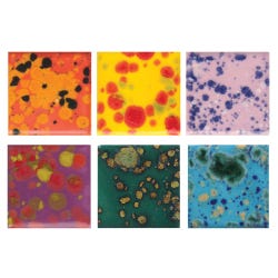 Sax True Flow Colorburst Glazes, Assorted Colors, Set of 6 Pints