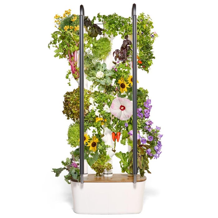 Gardyn Home 4 Hydroponic Garden, 30 Plant Starter Set