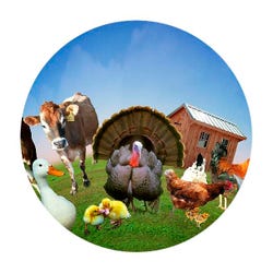 Solar Effect Wheel, Farm Animals 2125690