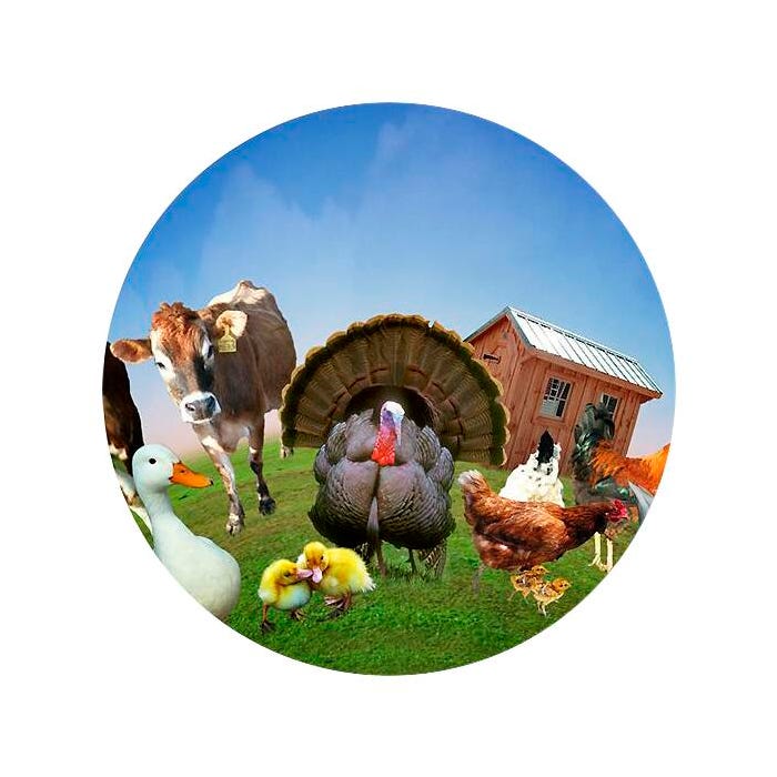Optikinetics 6-Inch Effect Wheel, Farm Animals