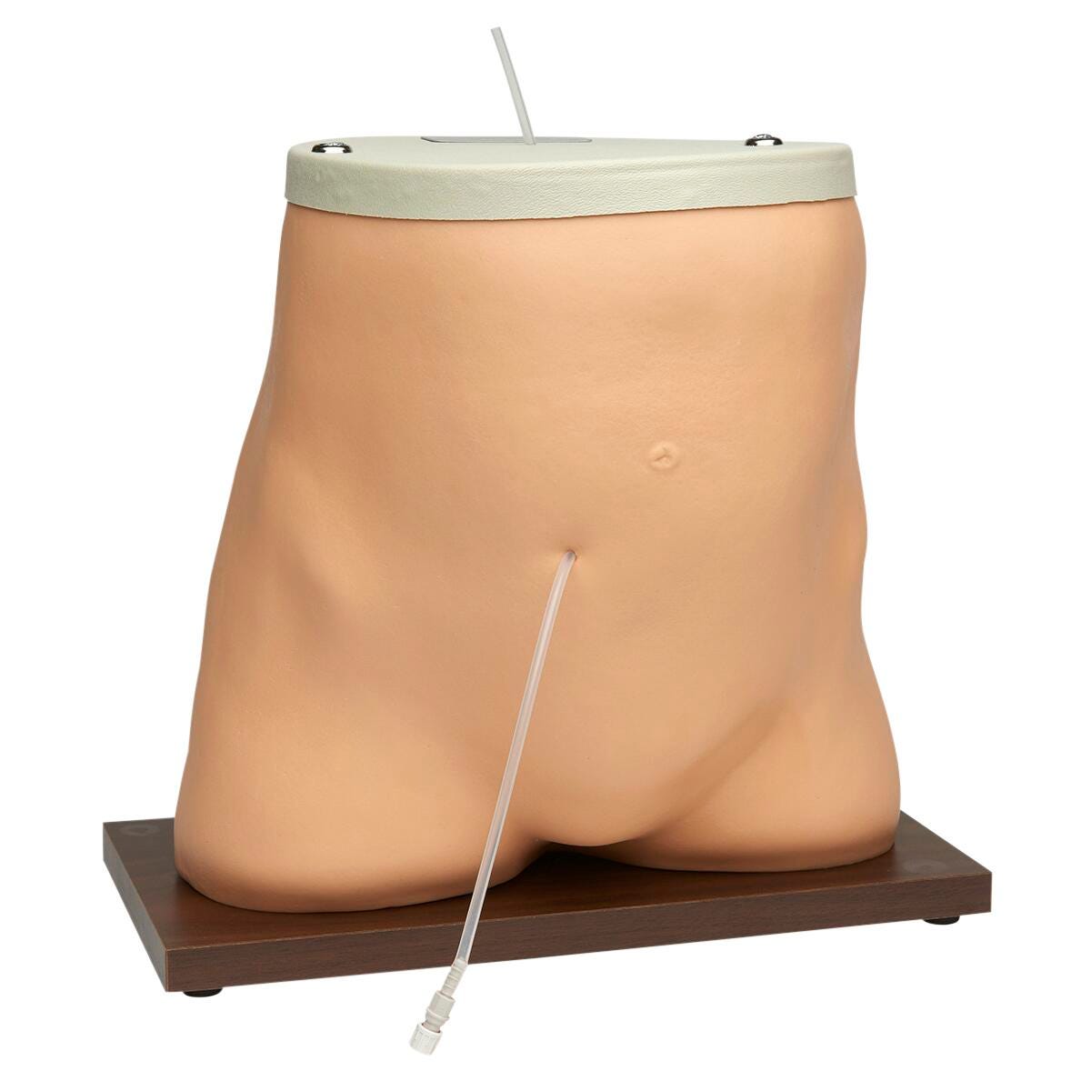 Image for Life/form® Peritoneal Dialysis Simulator from School Specialty