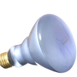 Basking Bulb, 100 W