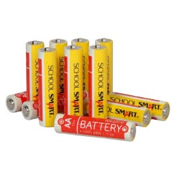 School Smart Alkaline AA Batteries, Pack of 12
