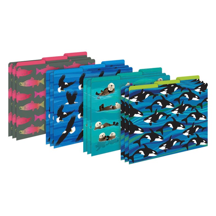 Barker Creek File Folders, Sea and Sky Design, Letter Size, Set of 12
