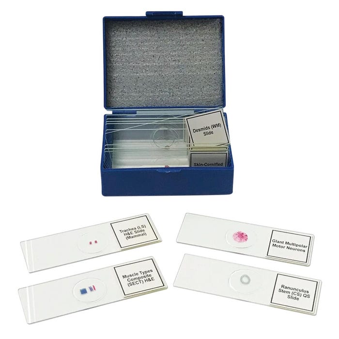 United Scientific Biology Prepared Slides, Set of 14