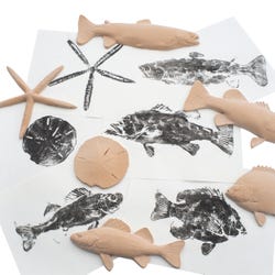 ANGLEIMAGES_FULLIMAGE