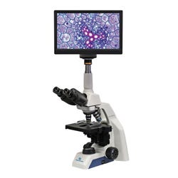 Digital Microscope with Achromat Objectives 2123479