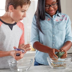 ANGLEIMAGES_FULLIMAGE