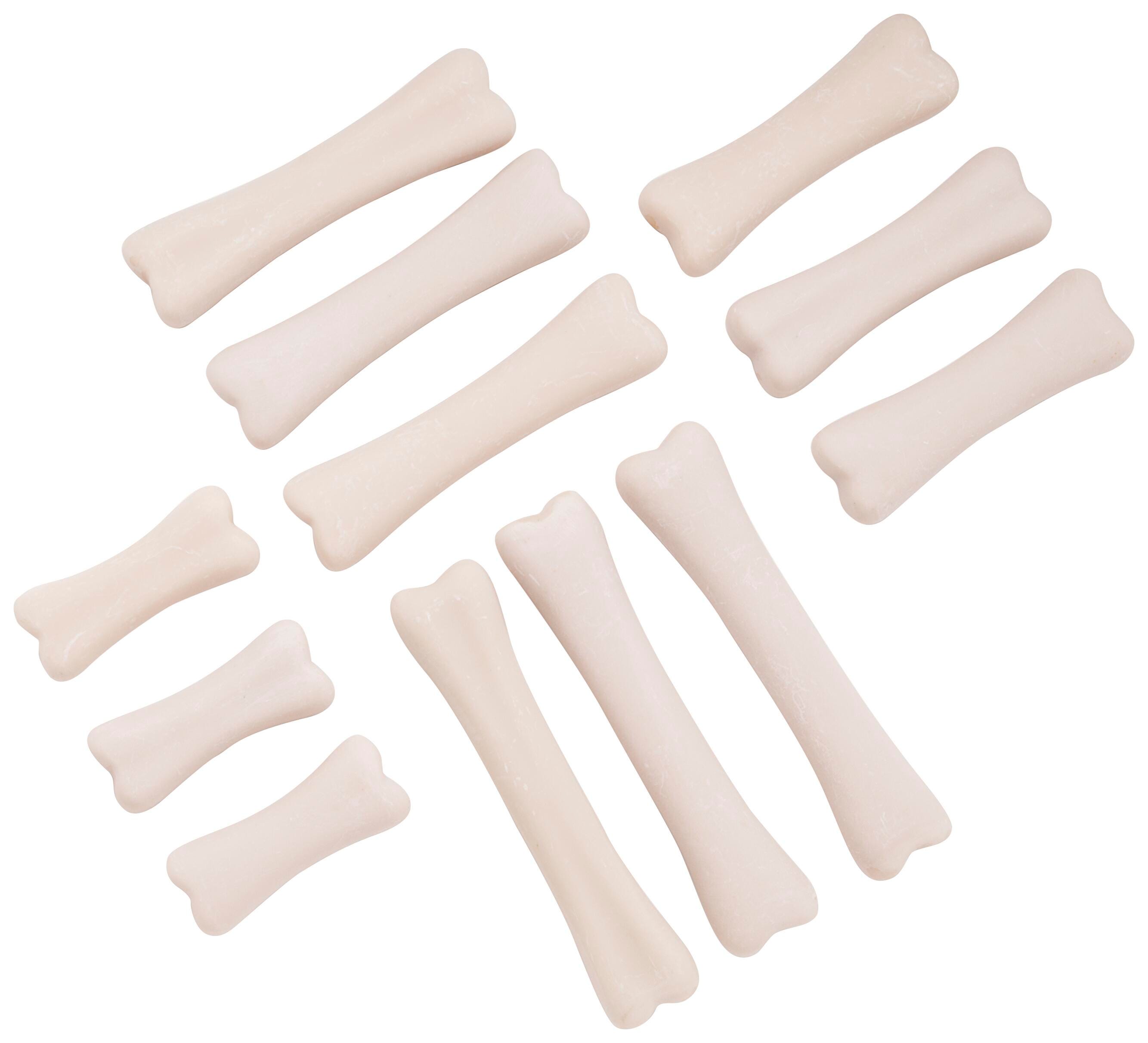 Plant, Animal, &amp; Insect Science, Item Number 2013786