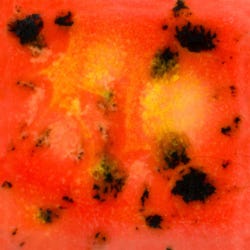 Mayco Jungle Gems Crystal Glaze, Day Lily CG1002, Pint 2135177