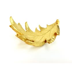 ANGLEIMAGES_FULLIMAGE