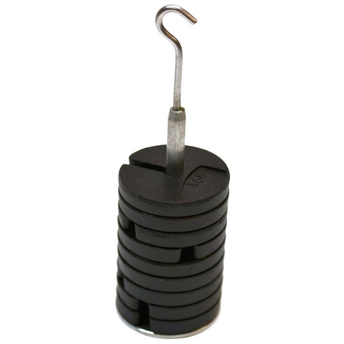 Eisco Labs Slotted Masses with Hanger, Zinc, 200 Gram Capacity, Set of 9