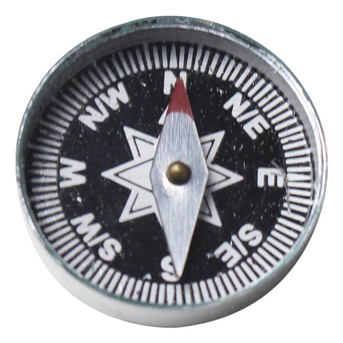 Frey Scientific Magnetic Field Detection Compasses, 1 Inch, Each
