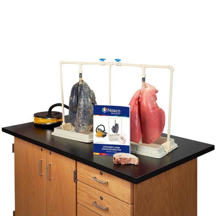 Nasco Inflatable Lungs Comparison Kit, Side by Side Comparison