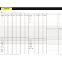 Hammond & Stephens Data Insert for Cumulative Record Folder, 9 x 11-3/4 Inches, Set of 25 1481894