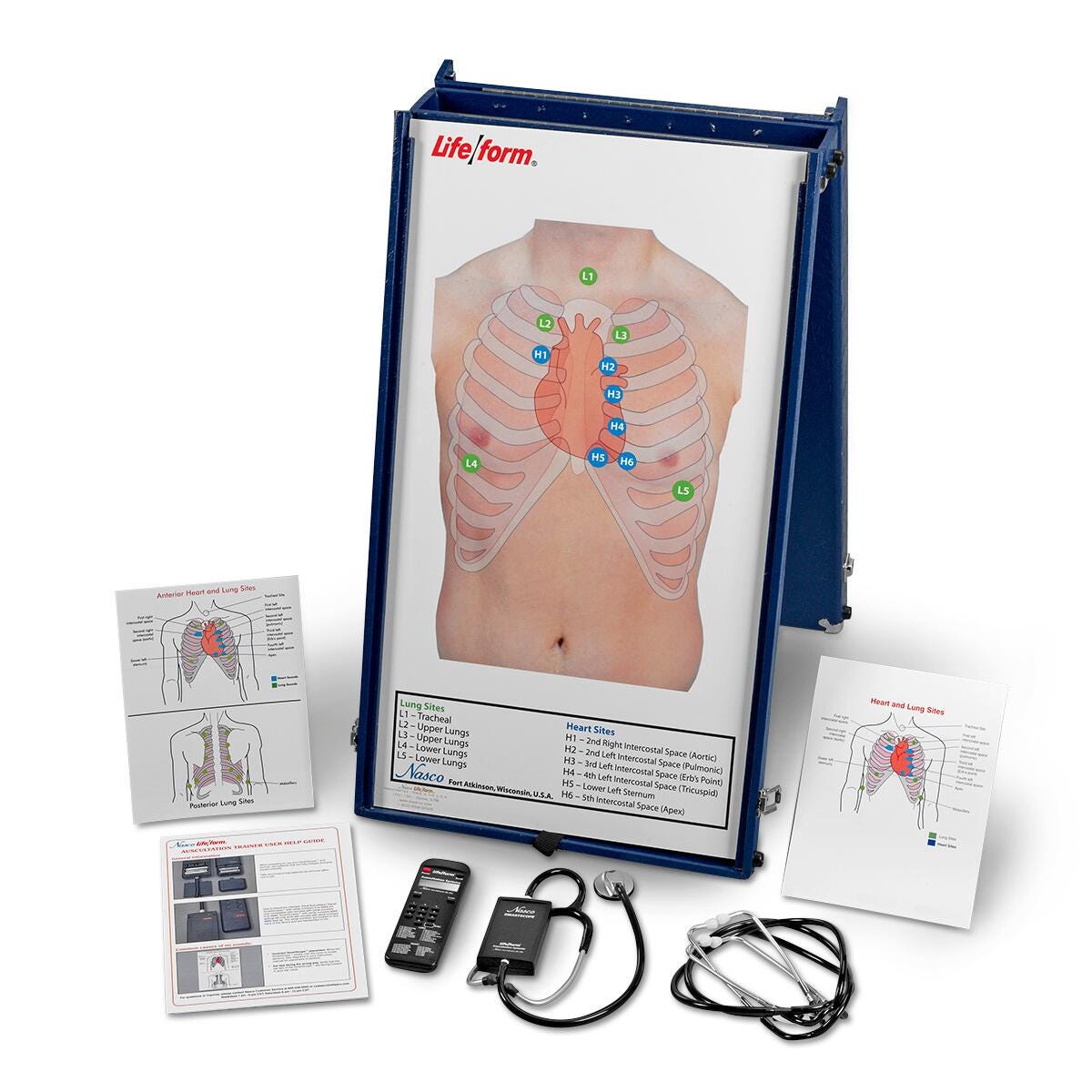 Life/form® Anterior Auscultation Practice Board with Case and SmartScope