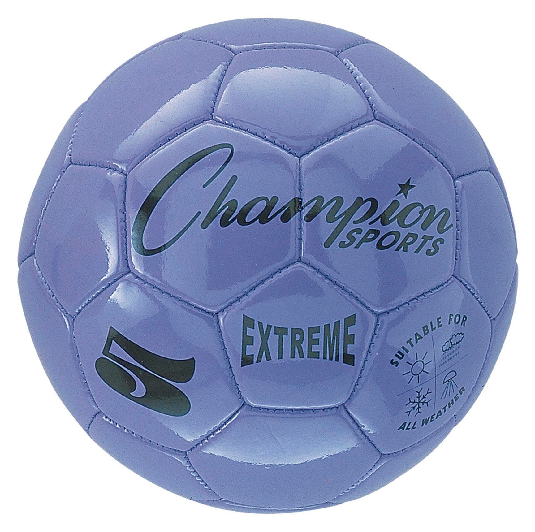 champion soccer ball