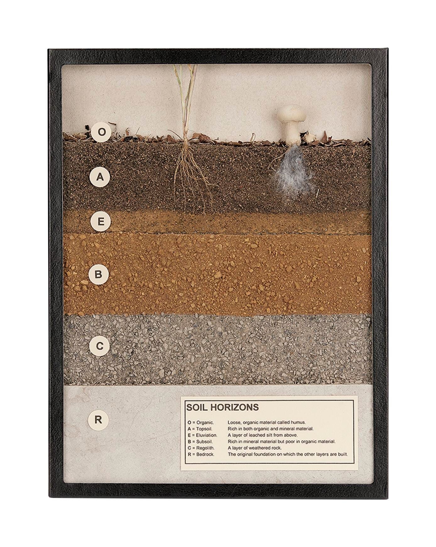 Soil Horizons 2218222