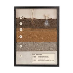 Soil Horizons Display