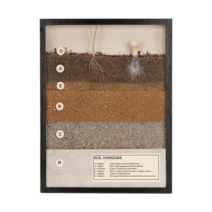 Soil Horizons Display