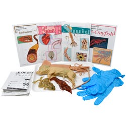 Frey Choice Dissection Kit - Comparative Circulatory System without Dissection Tools, Item Number 2041252