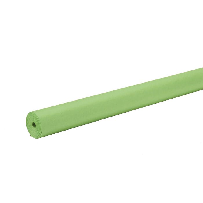 Rainbow Kraft Duo-Finish Kraft Paper Roll, 40 lb, 48 Inches x 200 Feet, Light Green