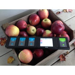 ANGLEIMAGES_FULLIMAGE