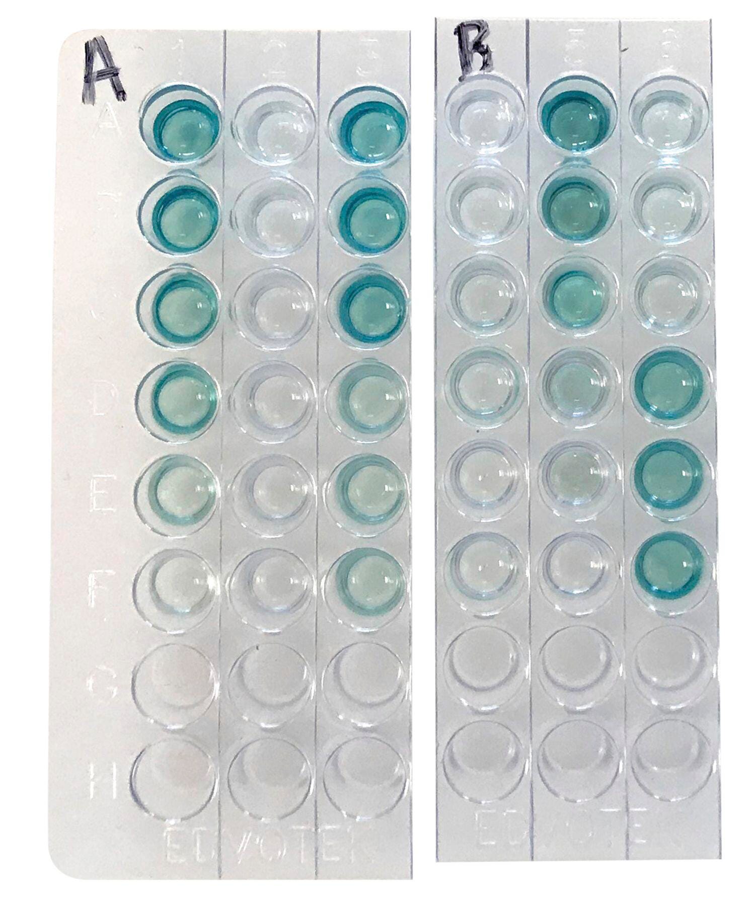 Quantitative ELISA 2134040