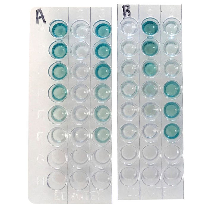 Edvotek Quantitative ELISA