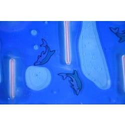 ANGLEIMAGES_FULLIMAGE