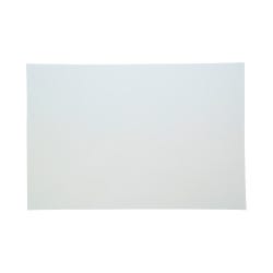 Image for Sax Colored Art Paper, 12 x 18 Inches, White, 50 Sheets from School Specialty