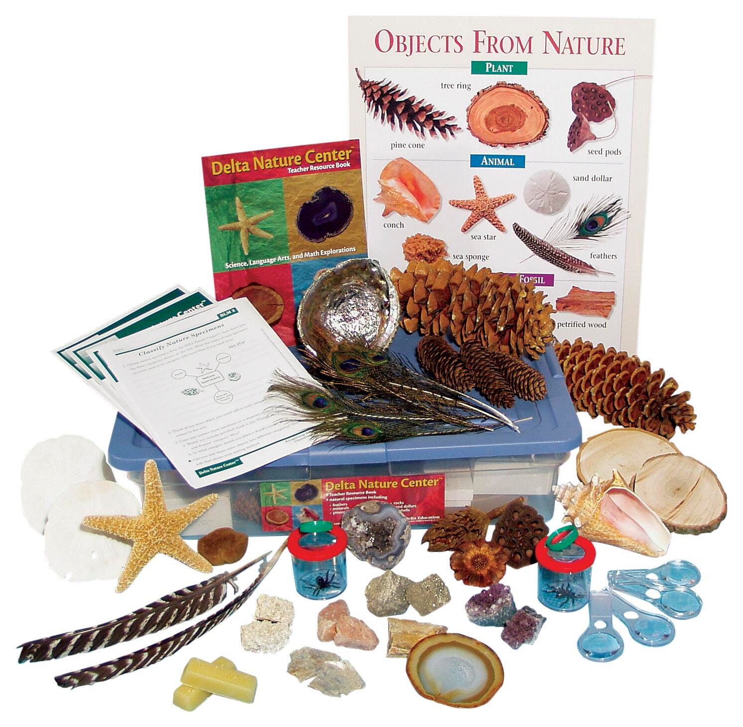 Ecology, Environment, Item Number 110-6408