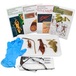 Frey Choice Dissection Kit, Animal Anatomy, Item Number 2041240