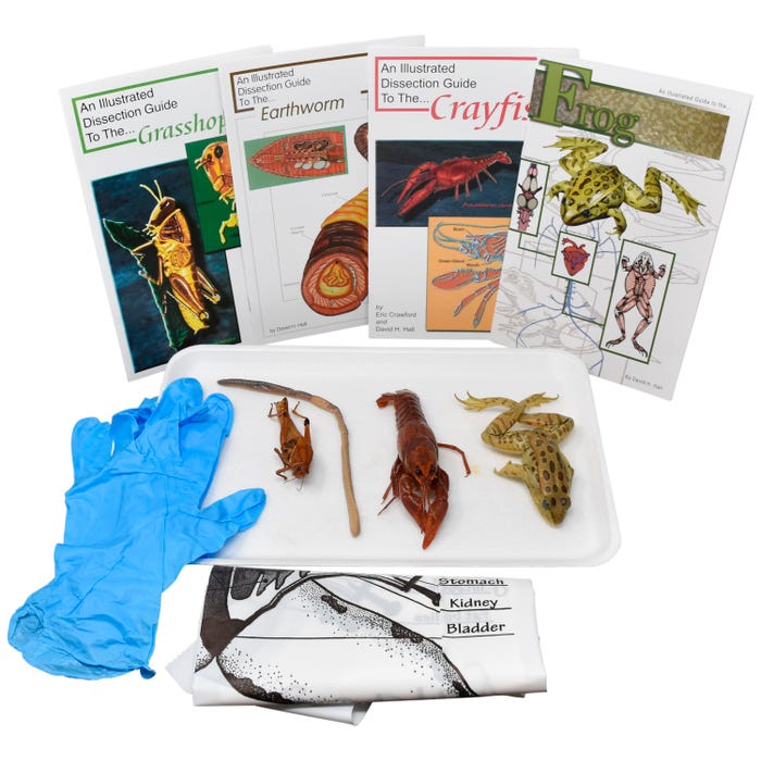 Frey Scientific Choice Animal Anatomy Dissection Kit without Dissection Tools